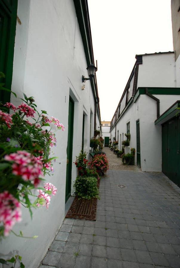 The 16th Century Horse Alley Apartment Antwerp