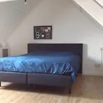 Fijne Studio Op Het Zuid