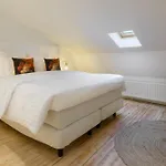 The 1894 Boutique Holiday Apartment