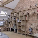 Re-Claimed Loft
