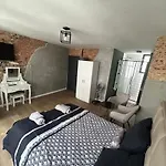 Cosy Room In Antwerp City