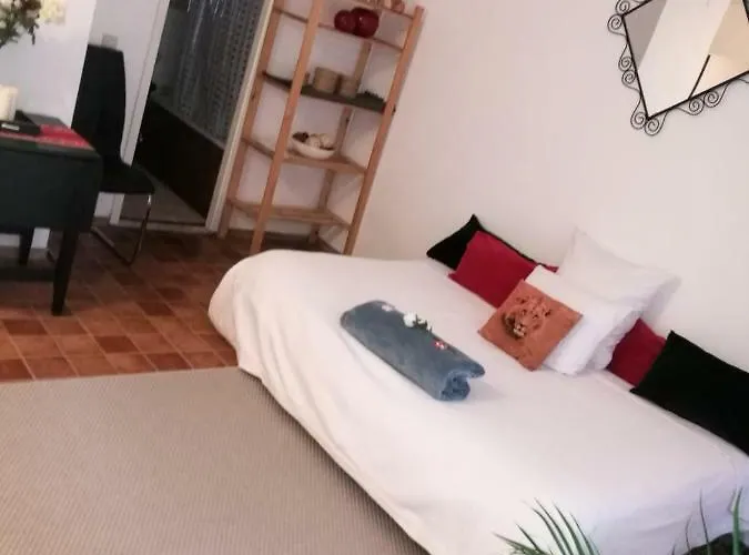 Charlottalei 33. FLAT-STUDIO. Stadspark
