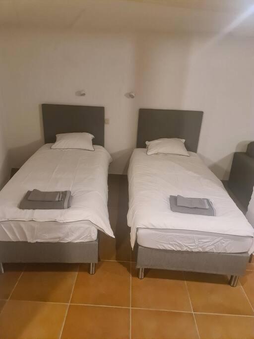 Apartment Spacious Studio With Private Entrance