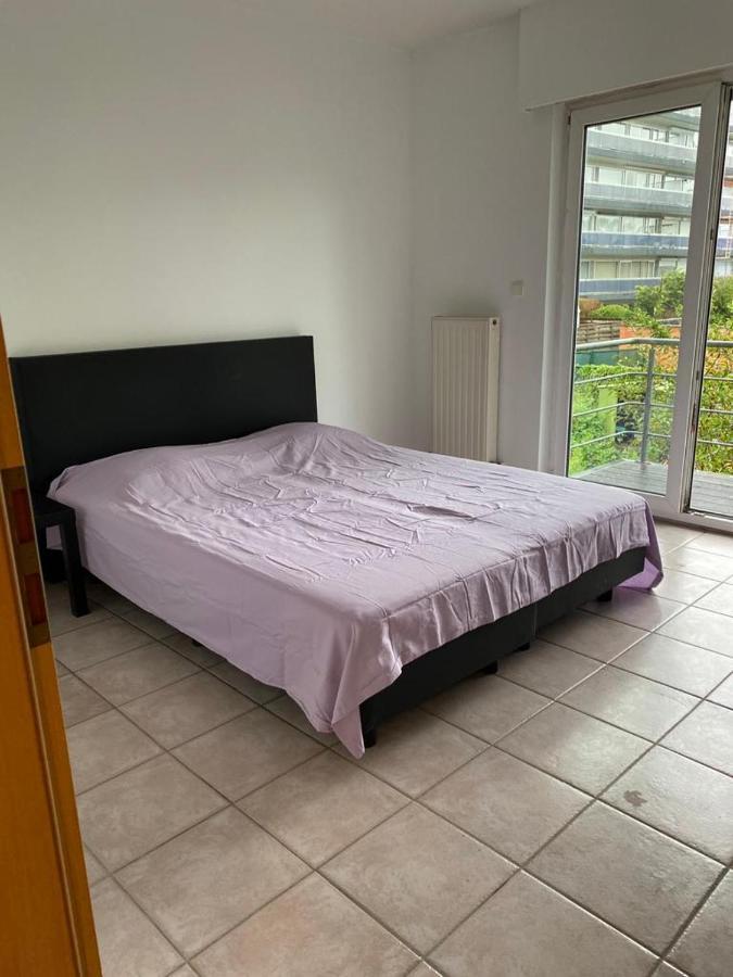 Superbe Lumineux Et Spacieux Apartment Antwerp
