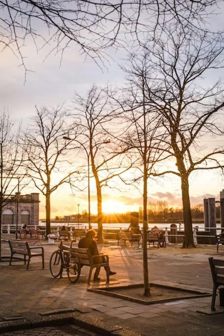Beautiful City With A Great River View
