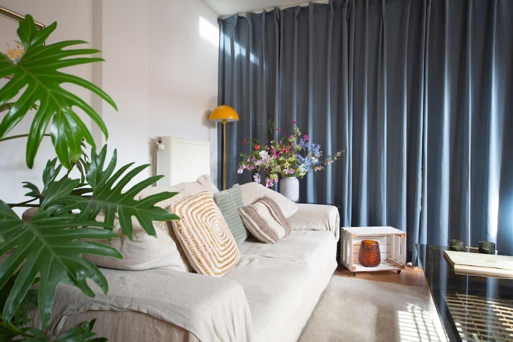 Local In Charming Zuid Area * Antwerpen