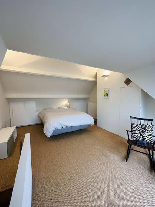 Charmante Woning In Center Antwerpen