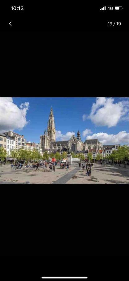 Charmante Studio Op Toplocatie Aan Meir. Apartment