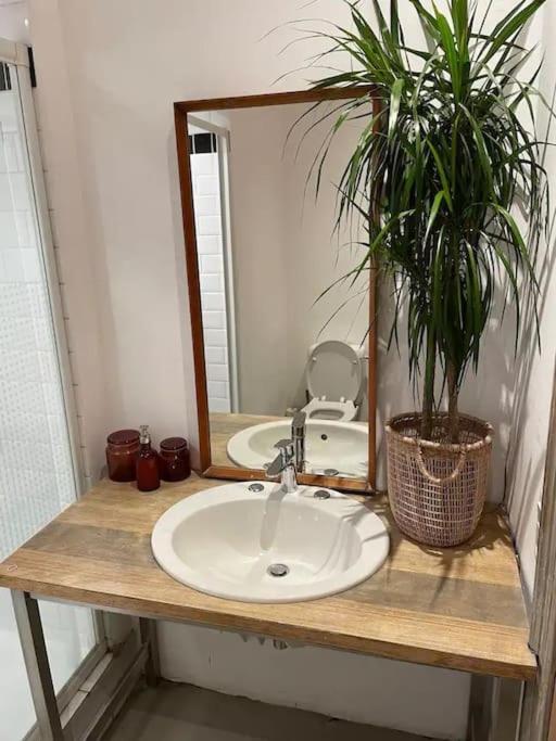 Vakantiehuis Gezellig Gerenoveerd Herenhuis In Het Centrum *