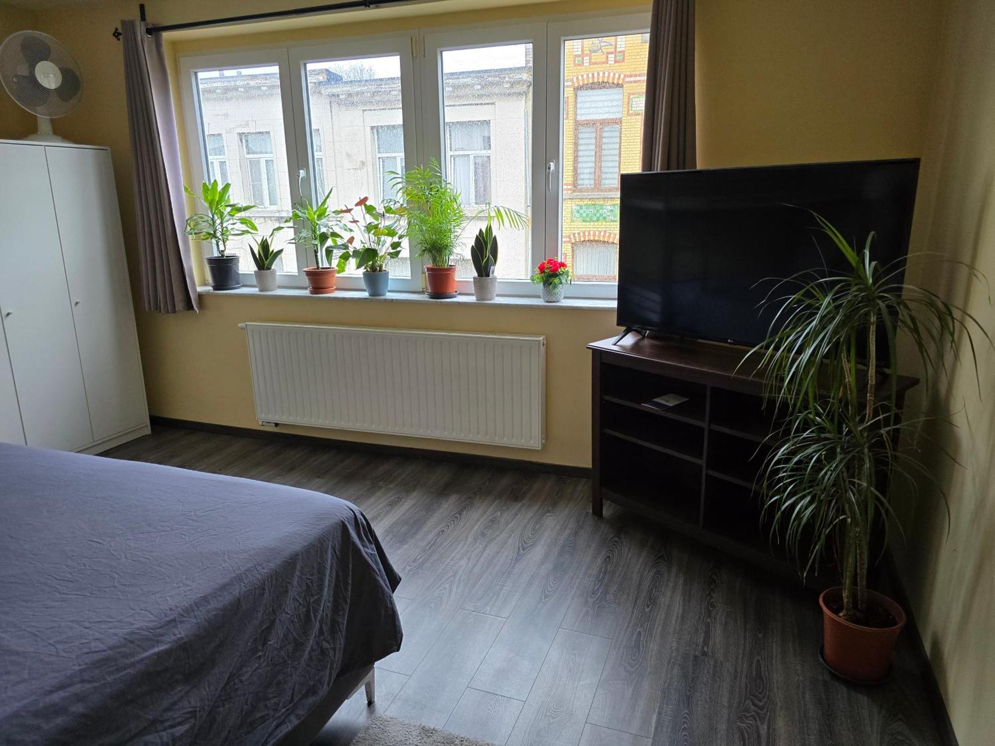 Apartment Right Choice Antwerpen