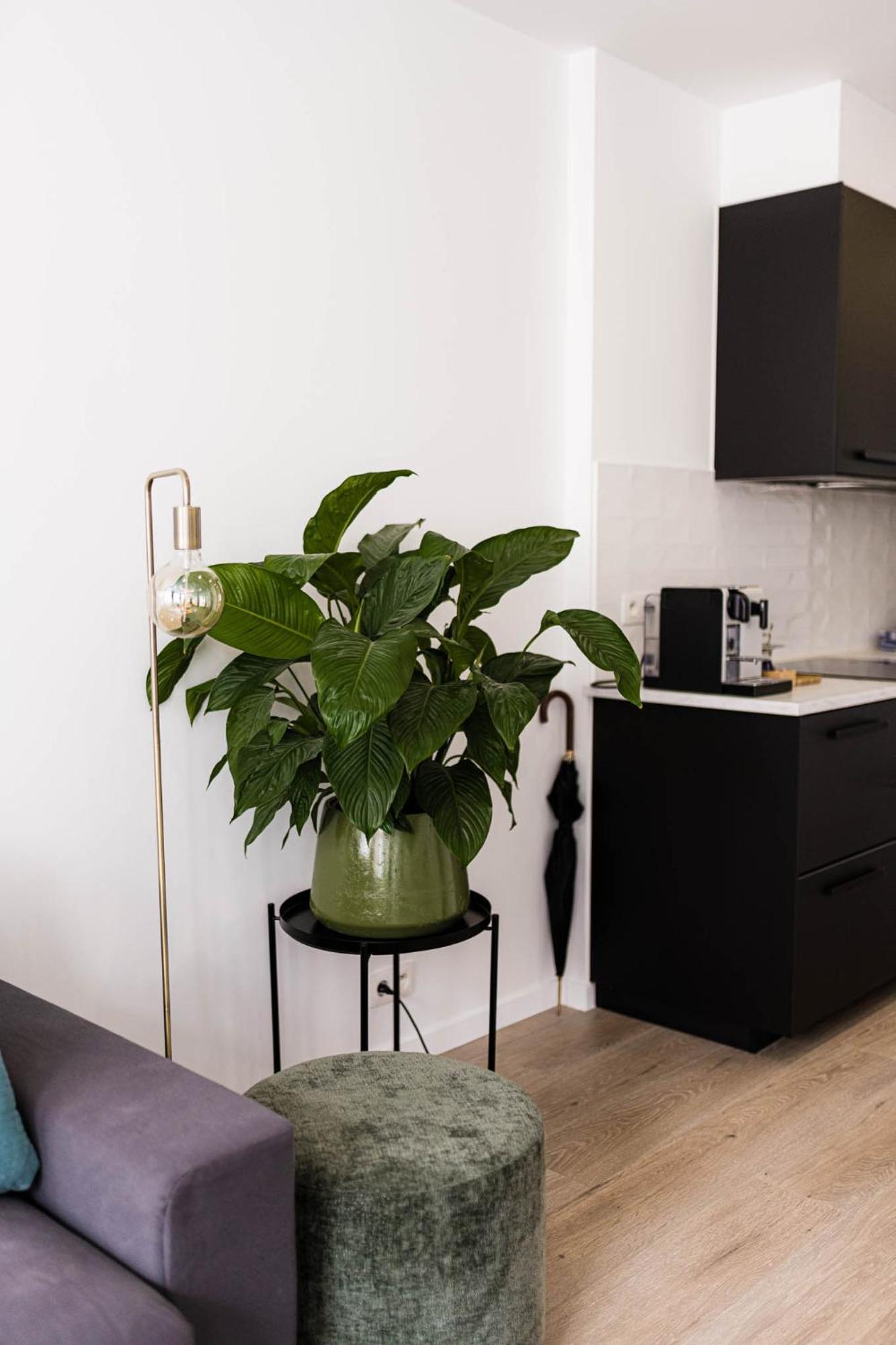 Appartement Gorgeous Getaway In The Old Centre Of *