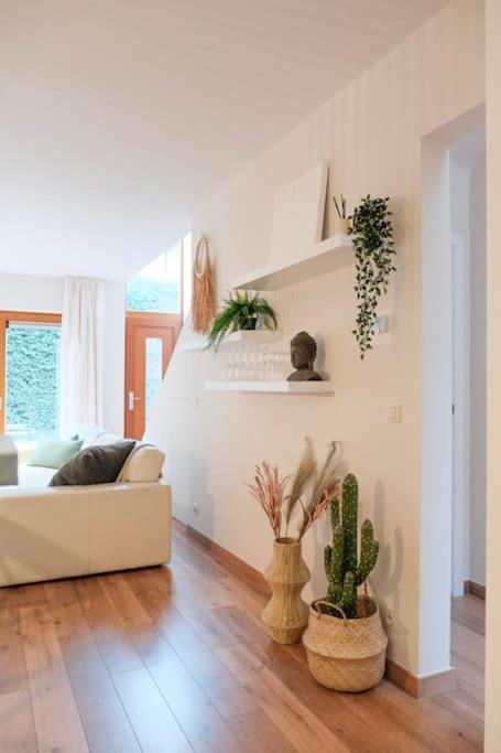 Apartment Tienne D'anvers Antwerp