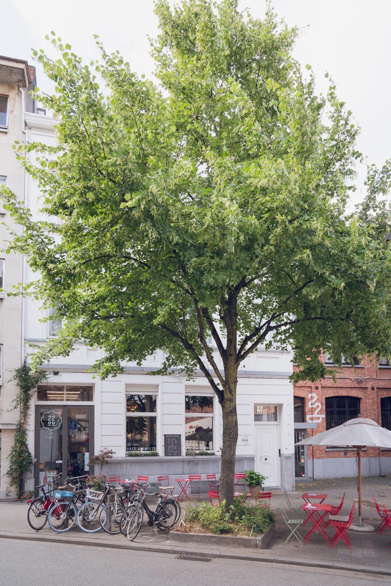 Bed & Breakfast 22b&b Antwerpen