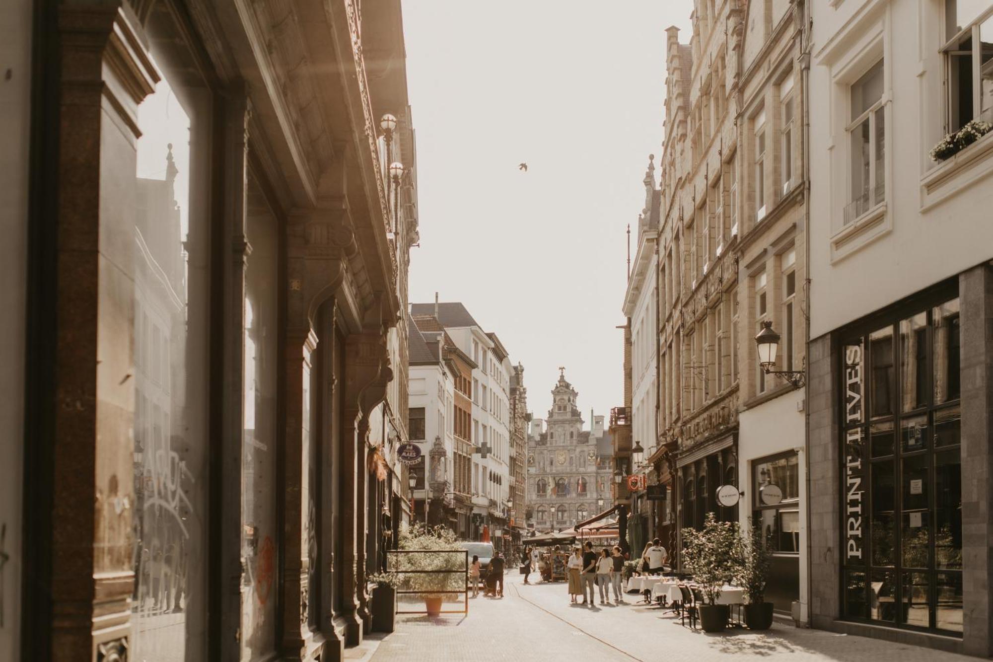Blue Bird Moriaan Antwerp