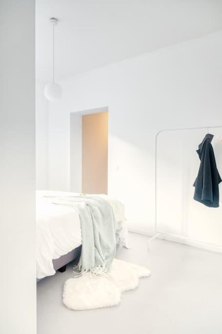 Wonderful 6p Duplex In Antwerp