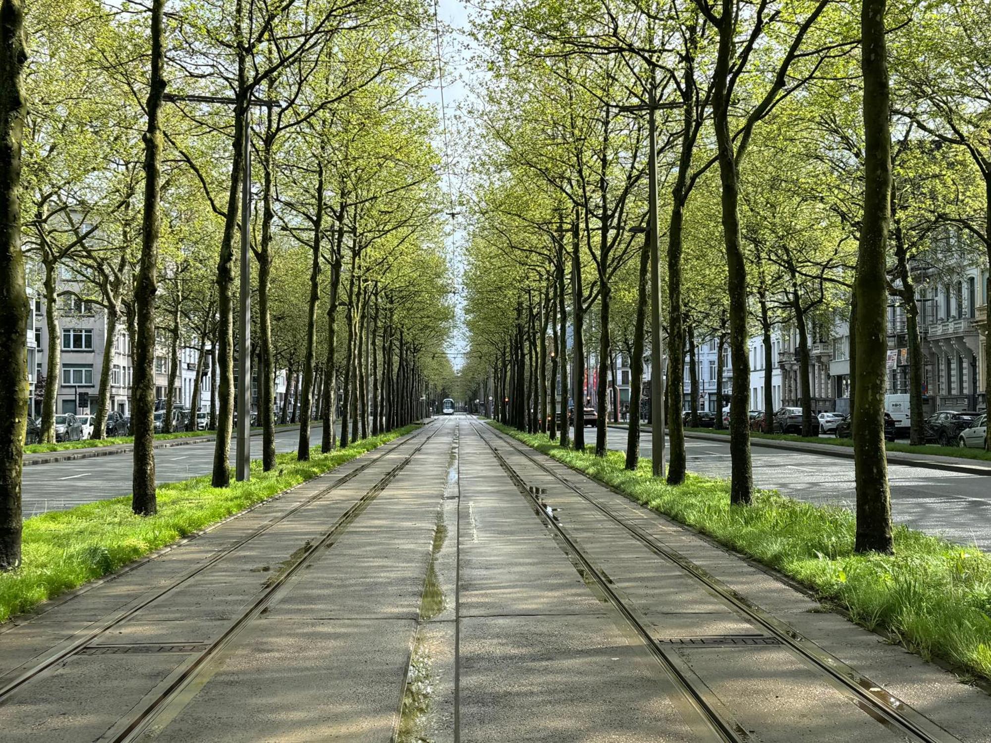 Rubenshof * Antwerpen