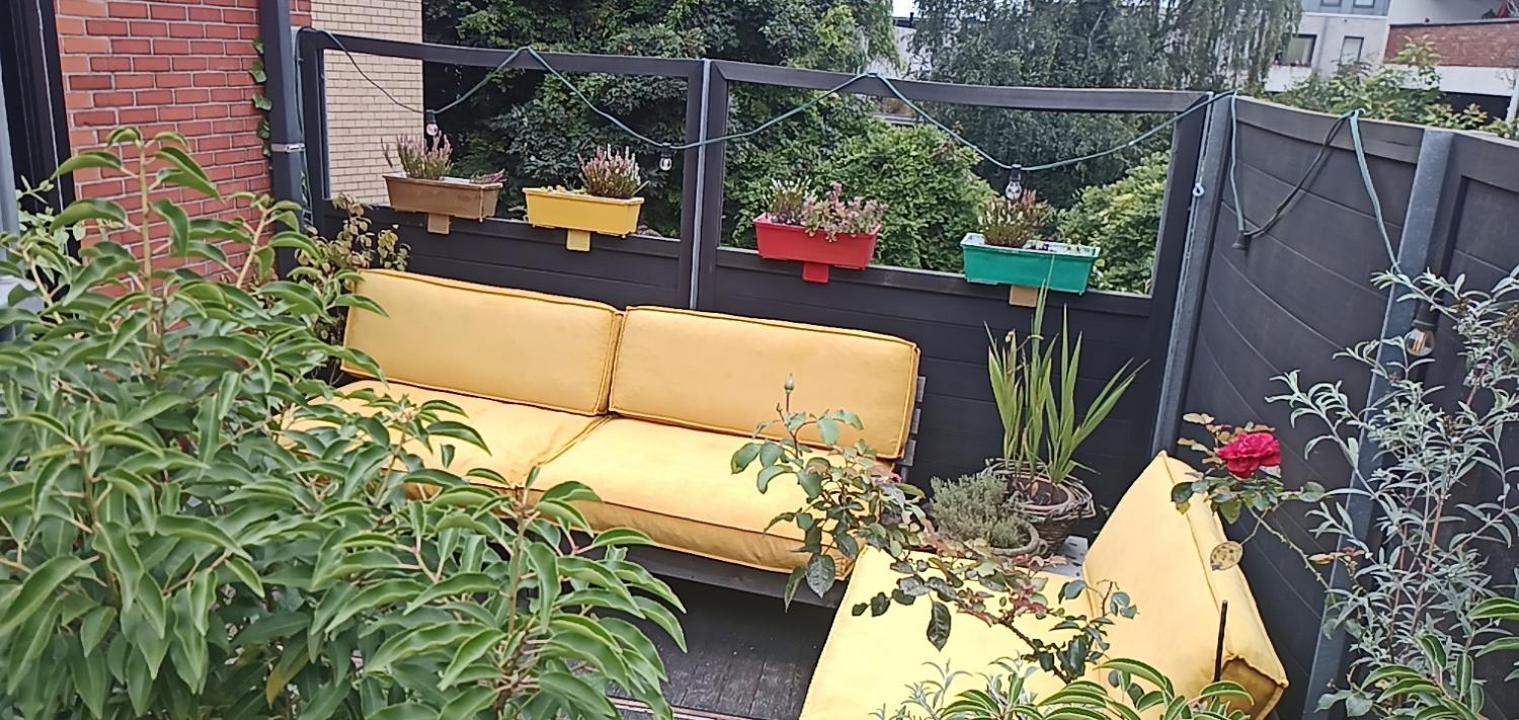 Lodgerivierenhof * Antwerp