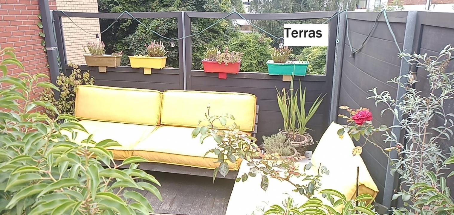 Lodgerivierenhof * Antwerp