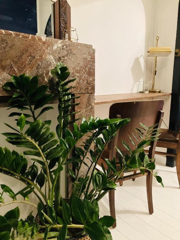 Aparthotel Living History - Suikernest Antwerpen