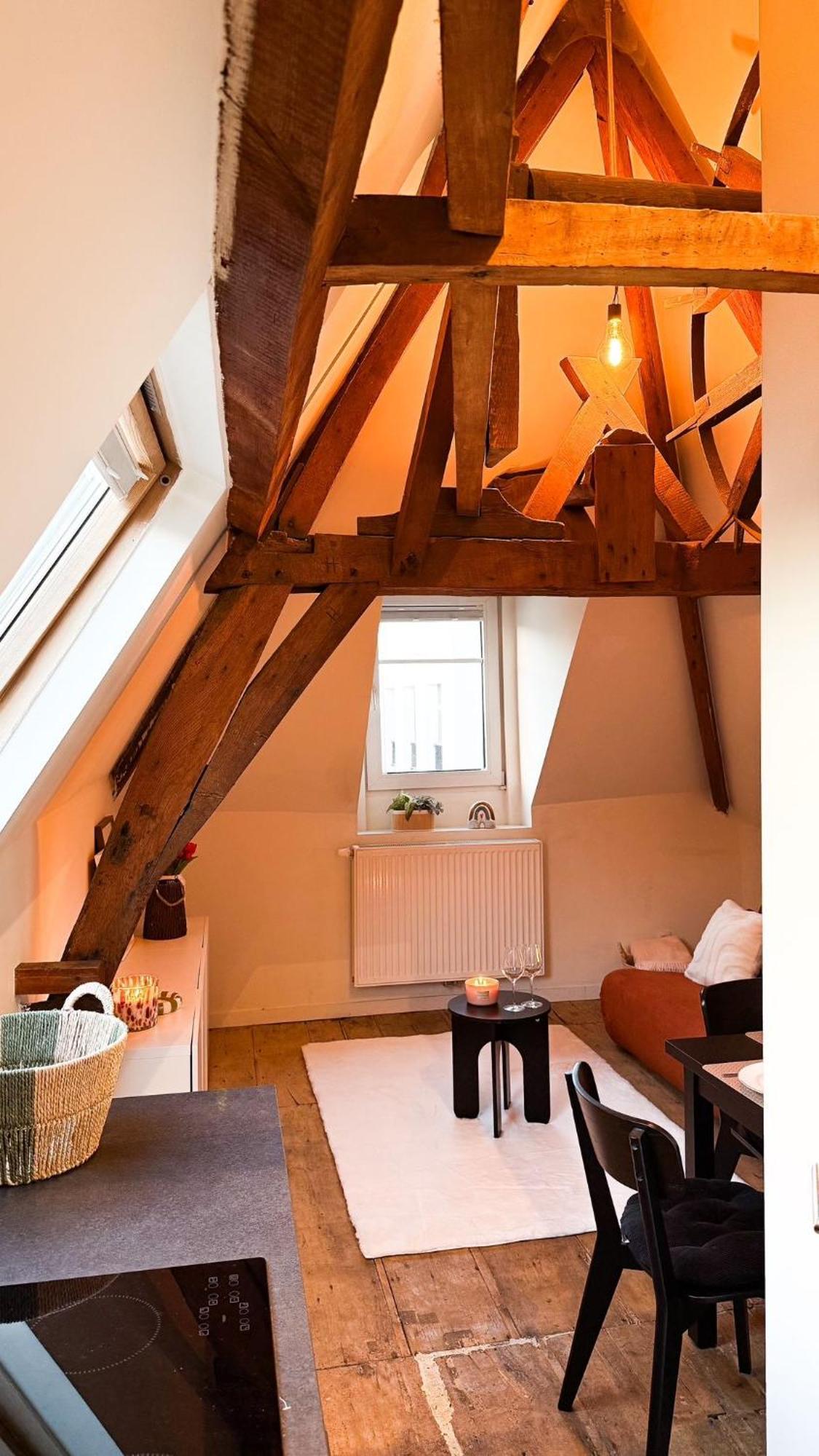 Cosy Authentiek Penthouse Apartment Antwerp