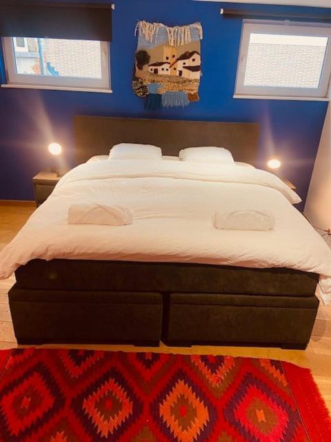 Charming & Spacious Duplex Viewing The Lovely Mas * Antwerpen