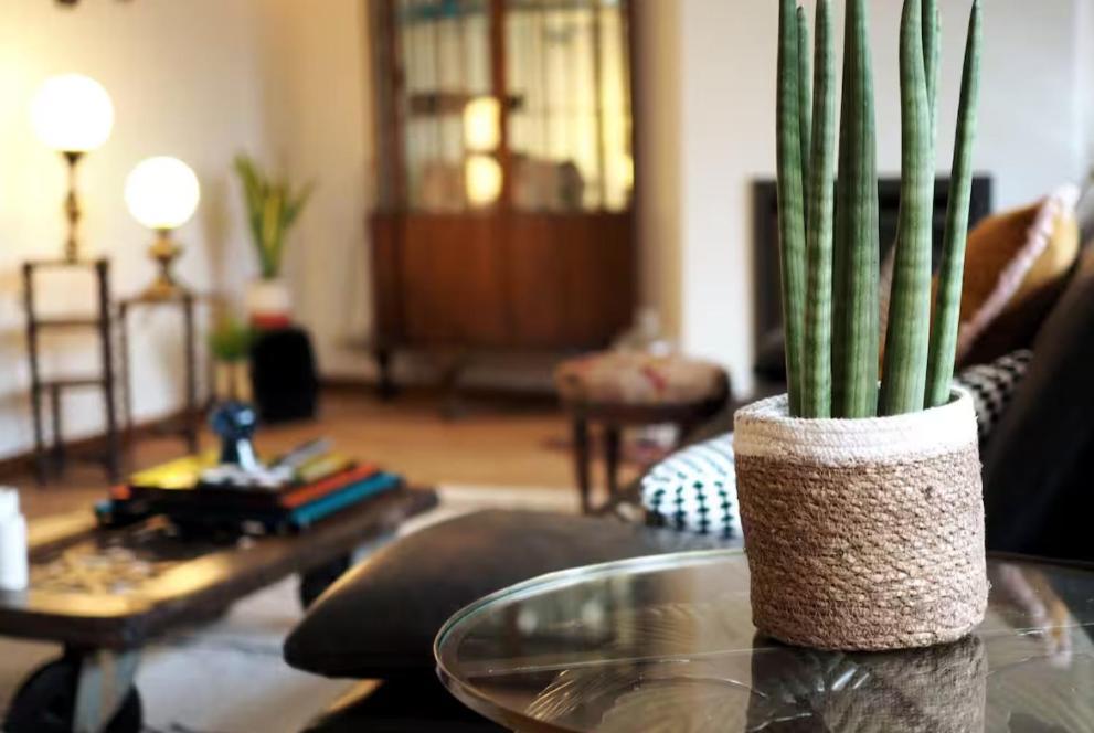 Appartement Stylish & Spacious Flat Viewing The Lovely Mas
