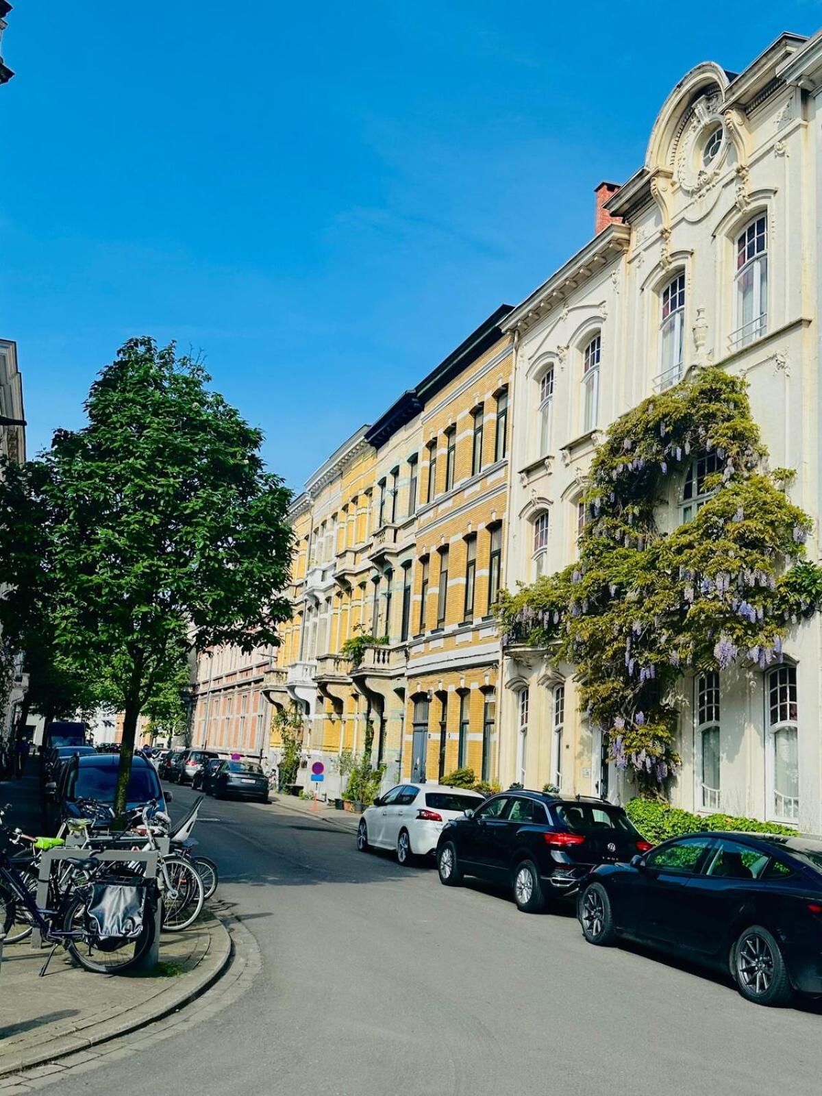 Luxurious With Zen Atmosphere In Zurenborg Accommodatie bij particulieren