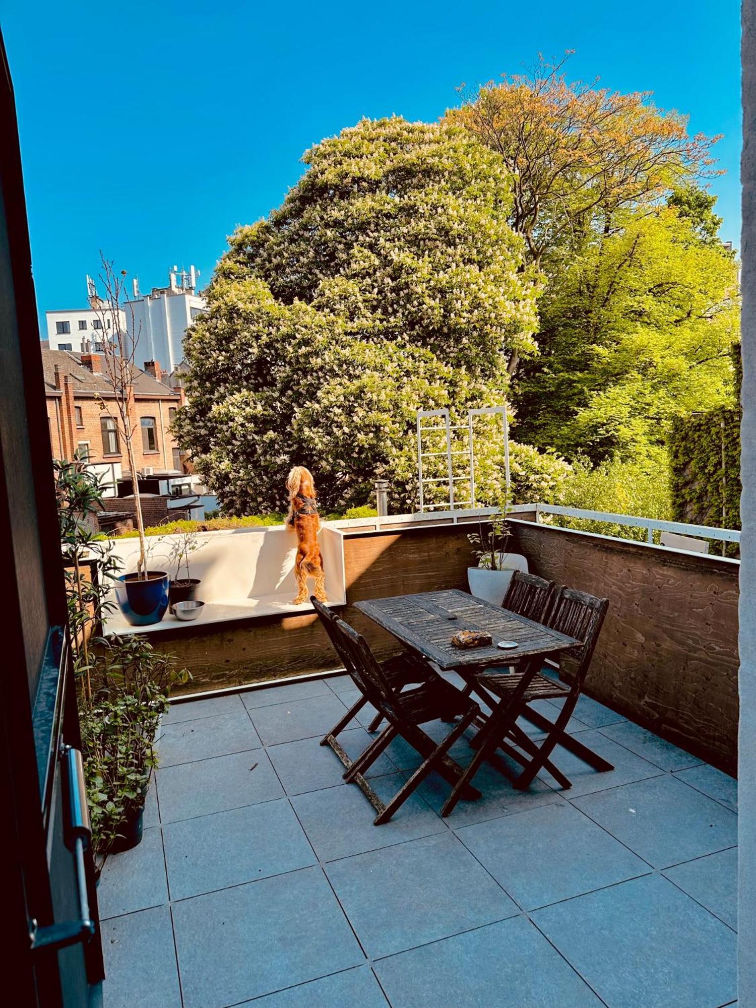 Luxurious With Zen Atmosphere In Zurenborg Antwerpen