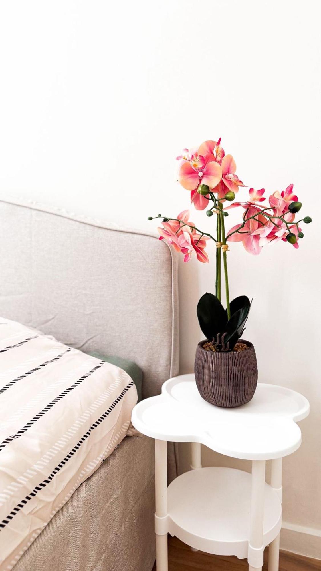 Stylish On The Waterfront Near Historic Center *