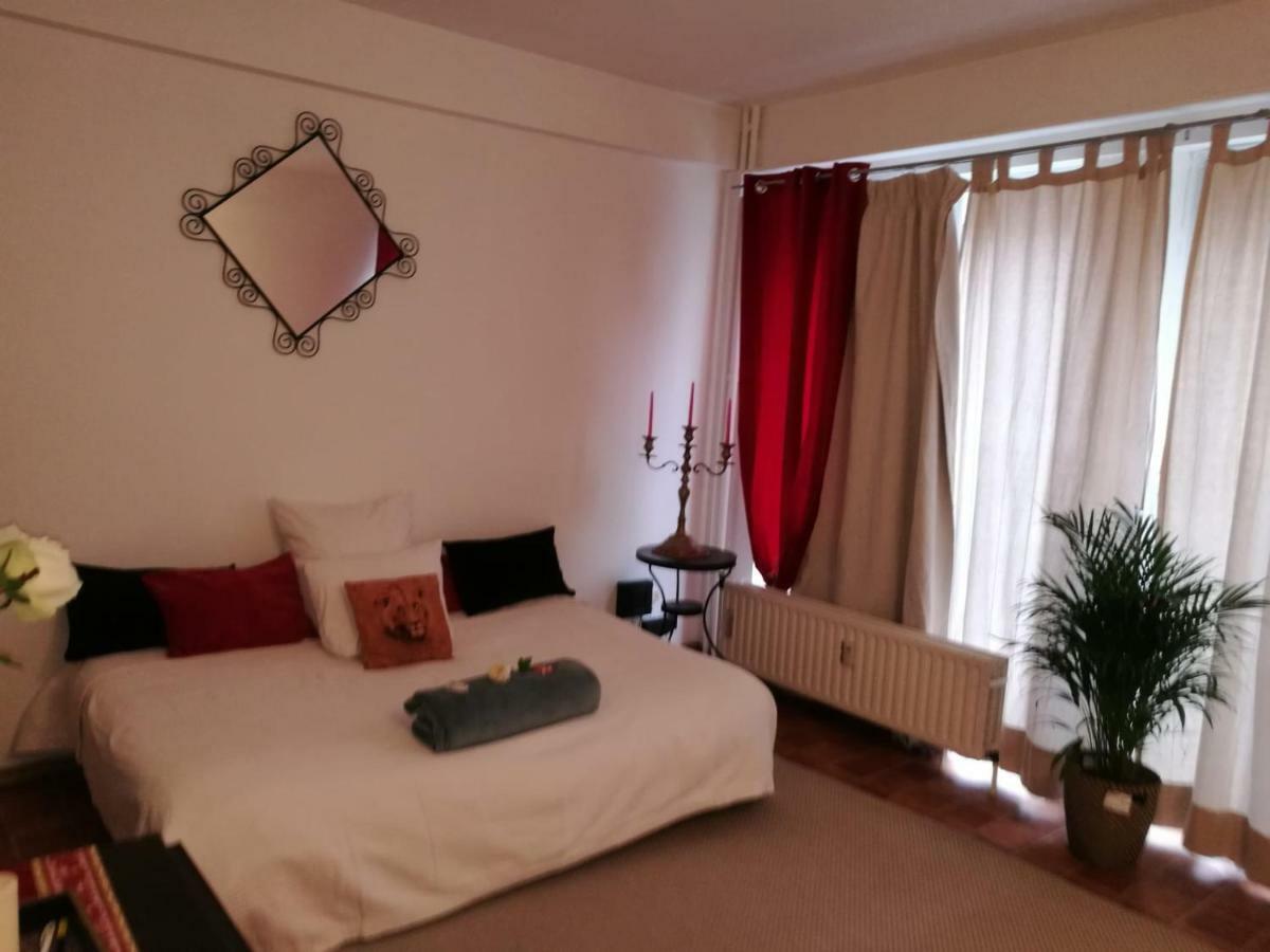 Charlottalei 33. Flat-studio. Stadspark
