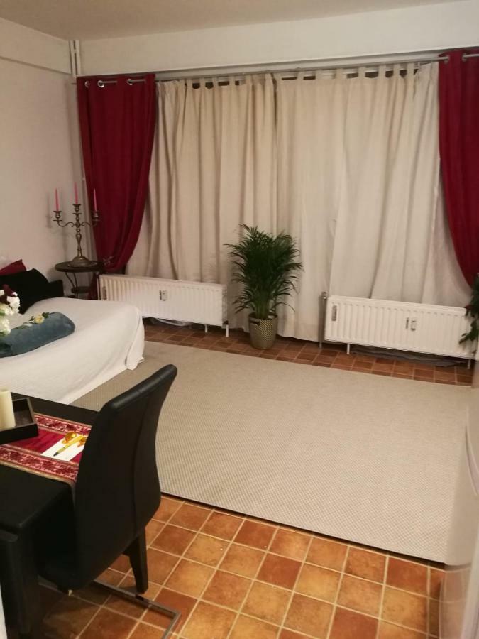 Charlottalei 33. Flat-studio. Stadspark *