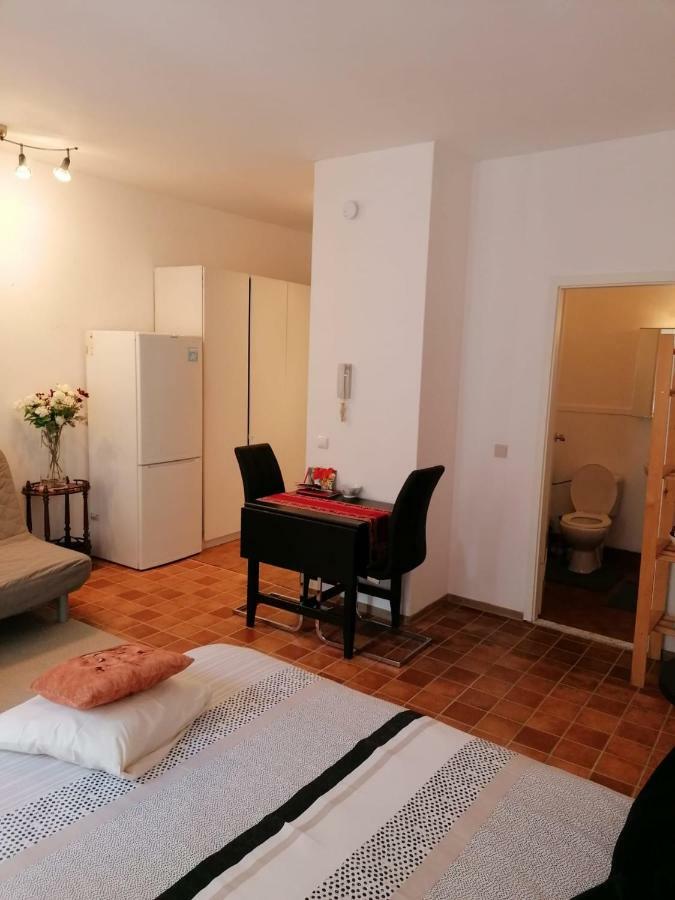 Charlottalei 33. Flat-studio. Stadspark