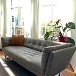 Maju