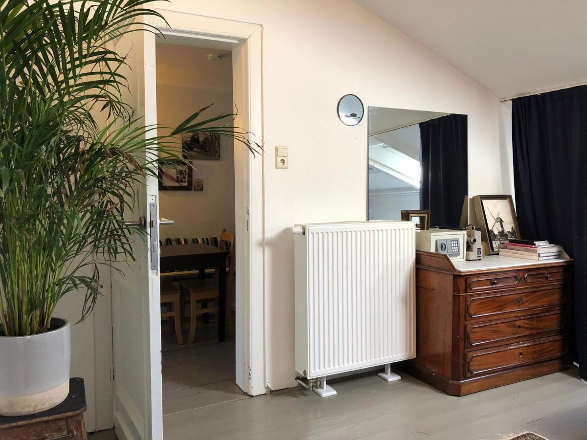 Aparthotel Bacchus - Rooms&apartments