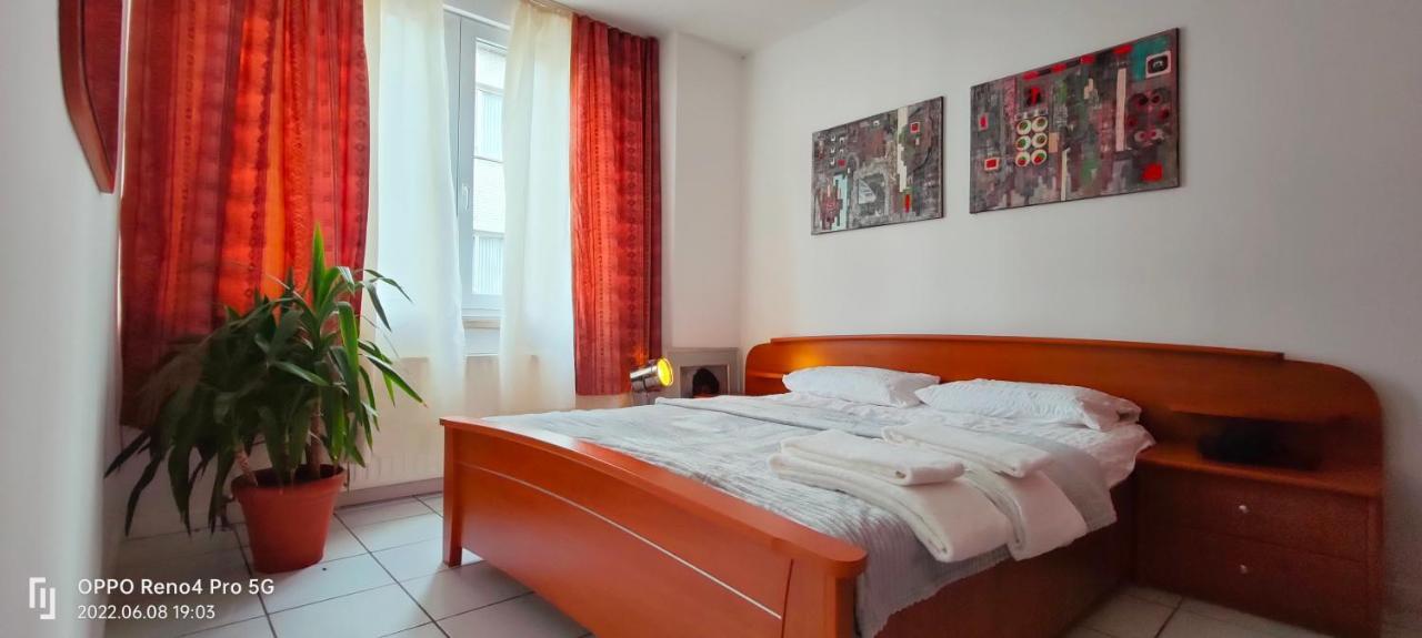 Compact Cozy Place Good For 3 Person! Antwerp