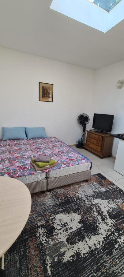 Hostel Sweet Home Antwerpen Antwerp