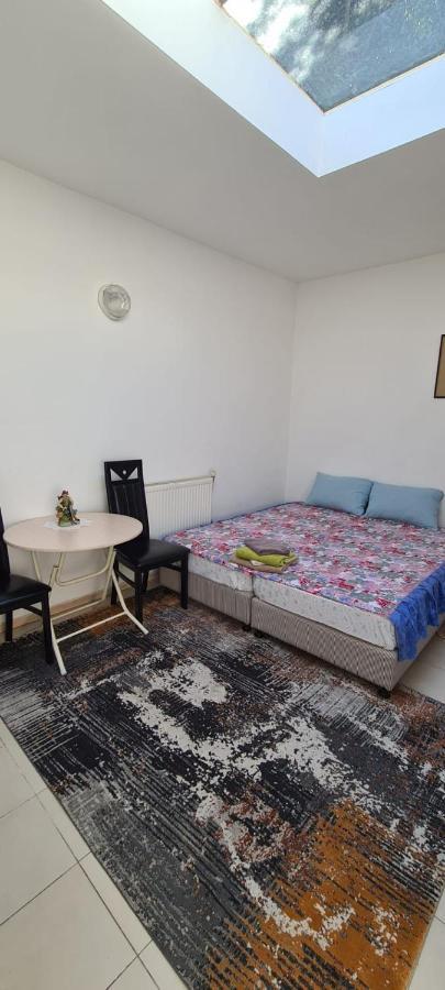 Sweet Home Antwerpen Hostel Antwerp