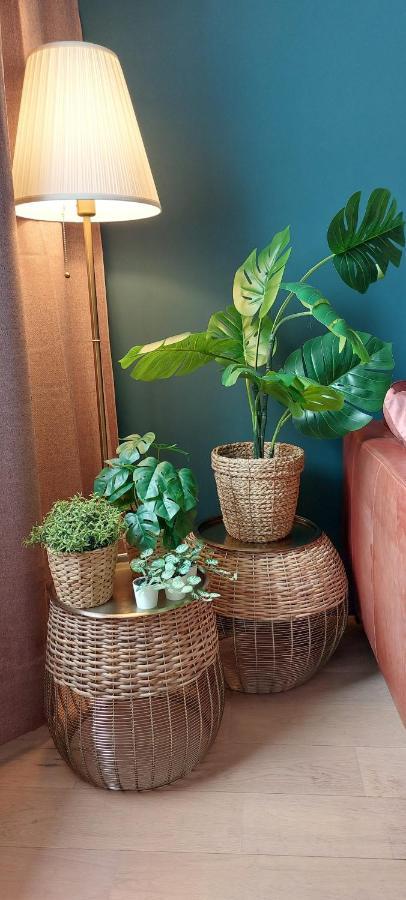 Apartment - Boutique *