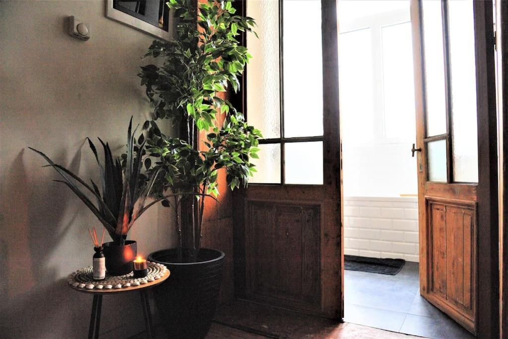 Apartment Tropical Dive, 2bdr