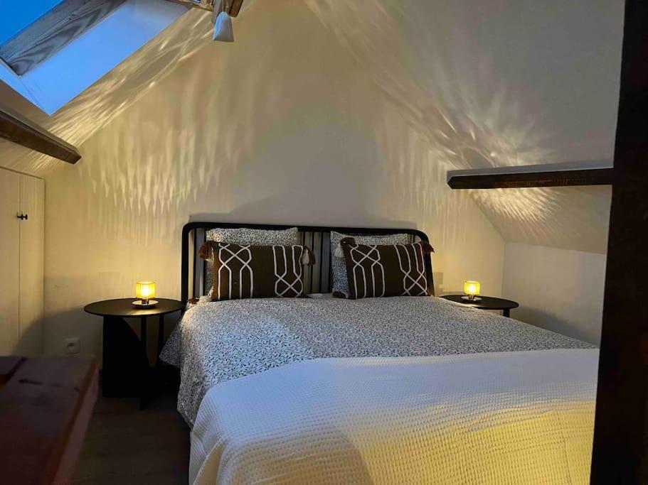 Cosy Center2 Apartment Antwerp