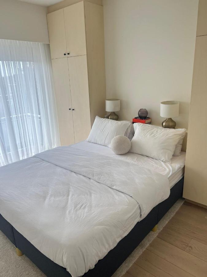 Apartment Luxury In Berchem-antwer
