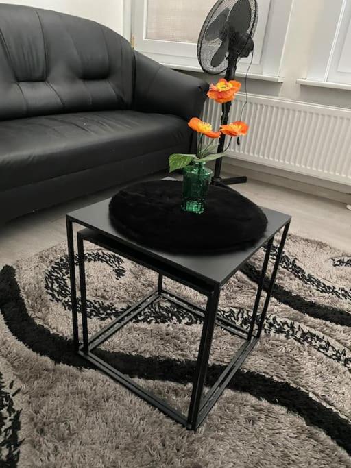 Big Beautiful In Atwerpen-center Apartment *