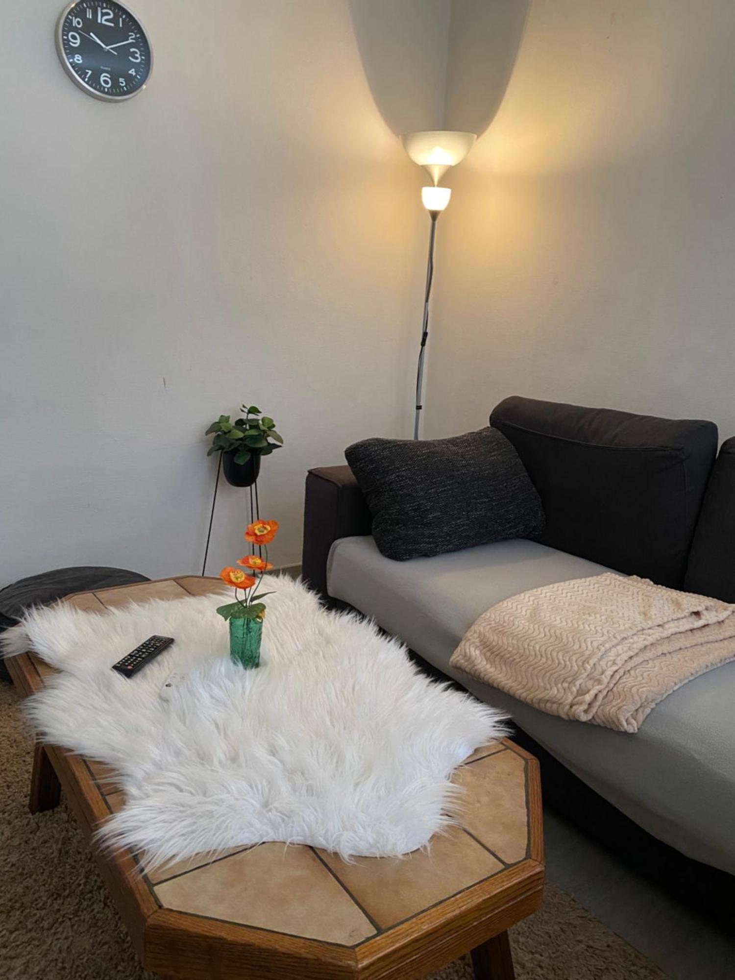 Apartment Big Beautiful In Atwerpen-center Antwerpen