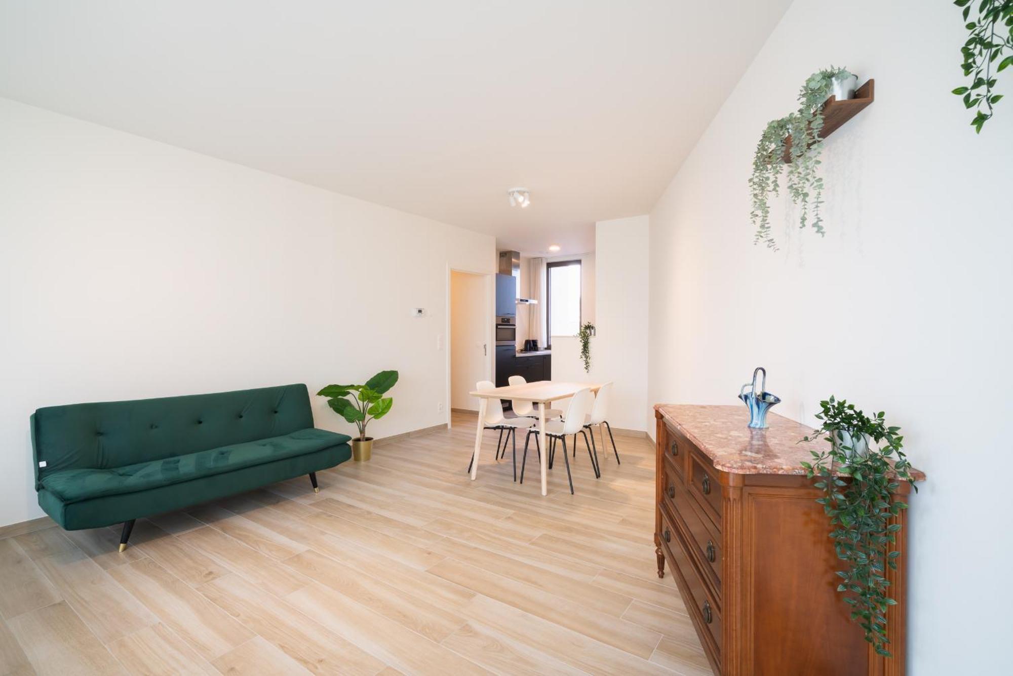 Opera In The Center Of Apartment Antwerp