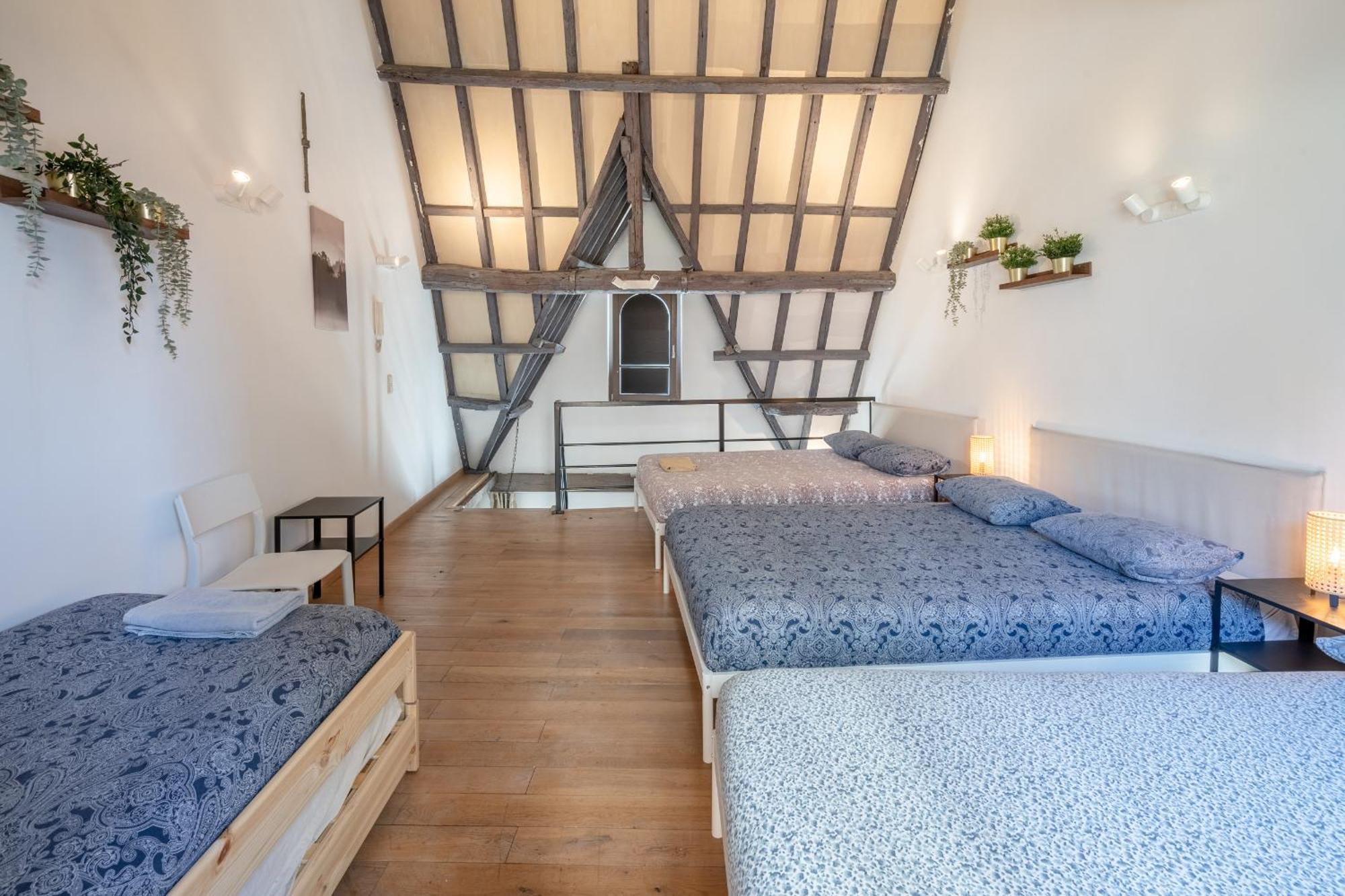 Tempel Cathedral In The Heart Of Apartment *