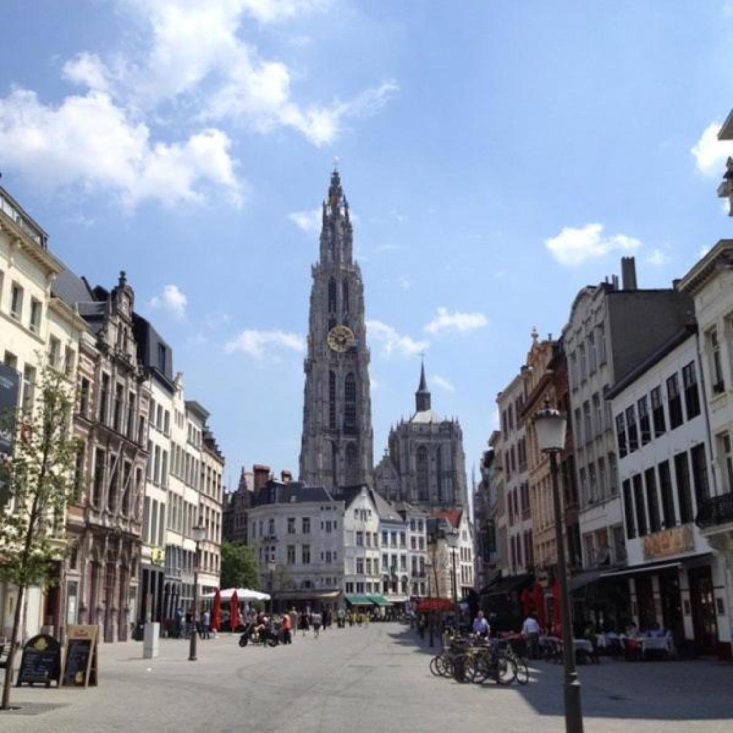 Suikernest *