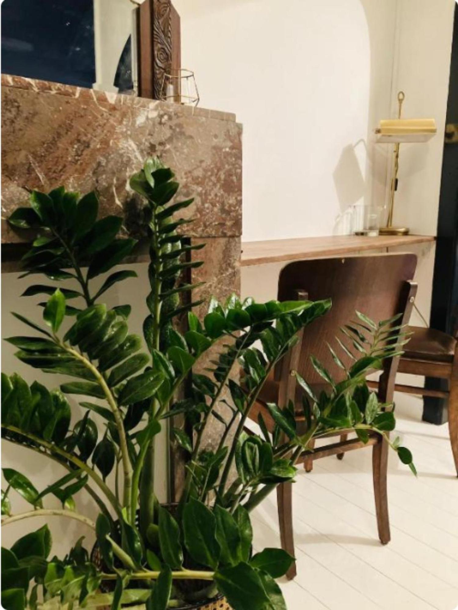 Suikernest Apartment